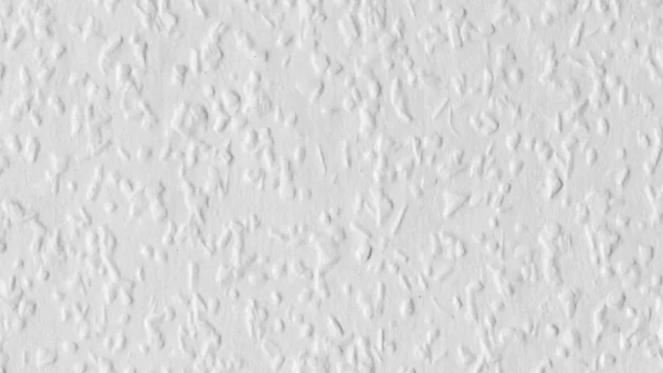 Erfurt_RaufaserÔÇôTapeten Erfurt Rauhfaser Pro - Tapeten