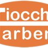 fiocchi_farben_ag_logo